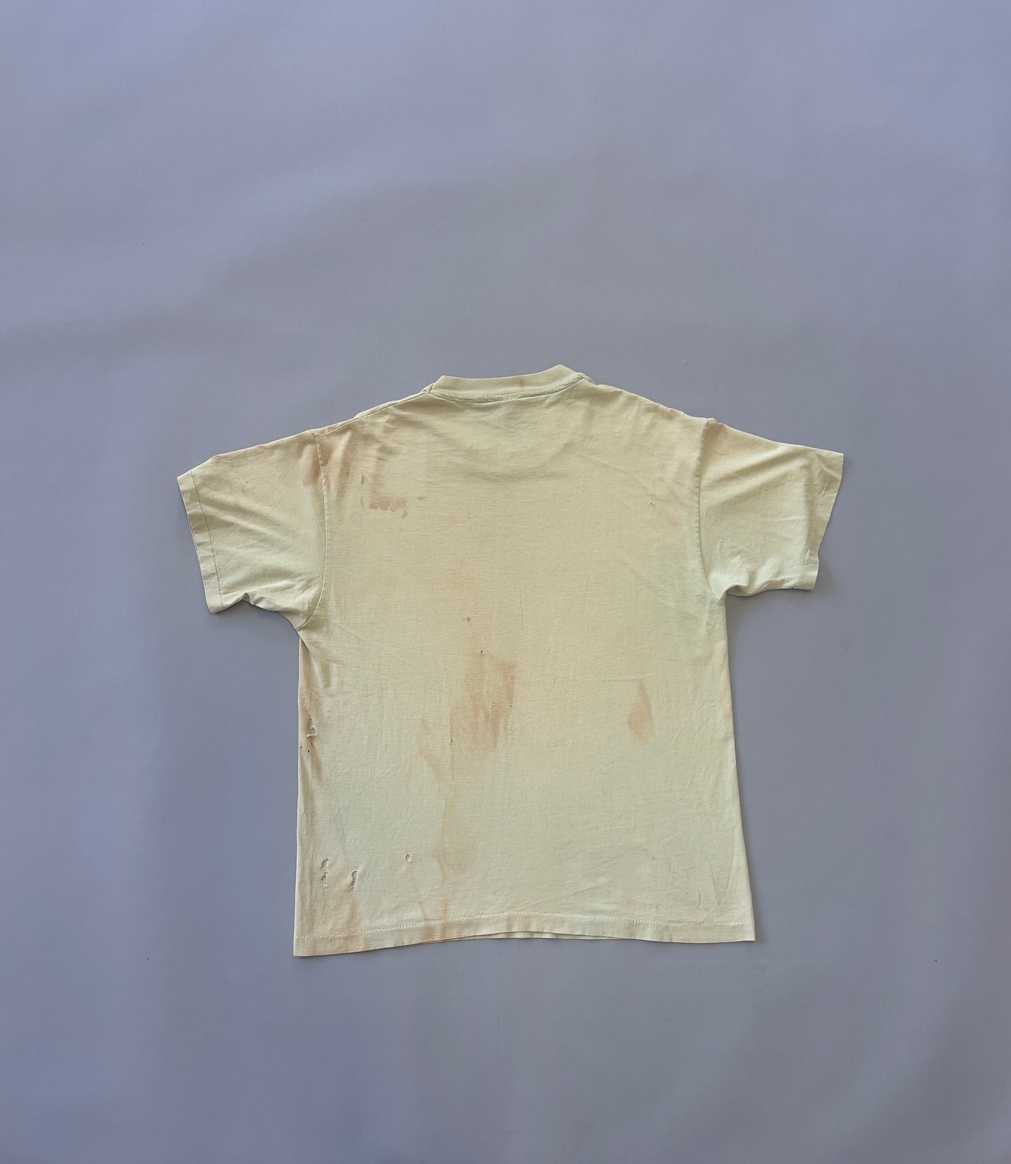 NIRVANA 90'S COVETED INCESTICIDE TEE